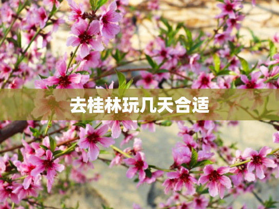 去桂林玩几天合适