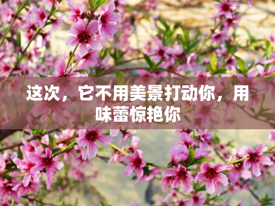 这次，它不用美景打动你，用味蕾惊艳你