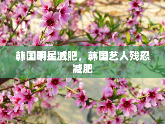 韩国明星减肥，韩国艺人残忍减肥