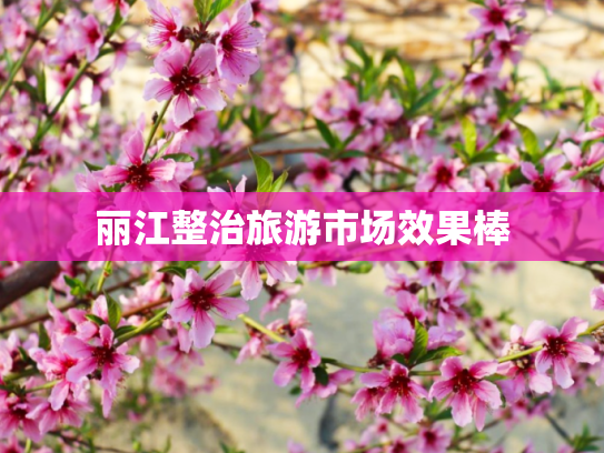 丽江整治旅游市场效果棒