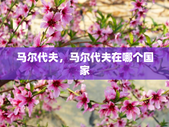 马尔代夫，马尔代夫在哪个国家