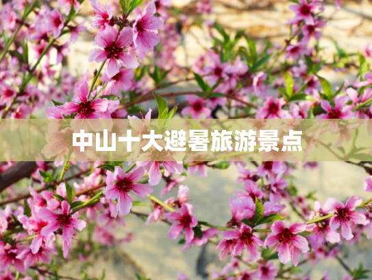 中山十大避暑旅游景点