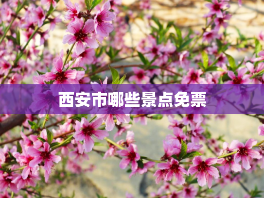 西安市哪些景点免票