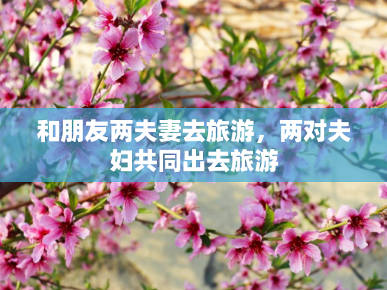 和朋友两夫妻去旅游，两对夫妇共同出去旅游