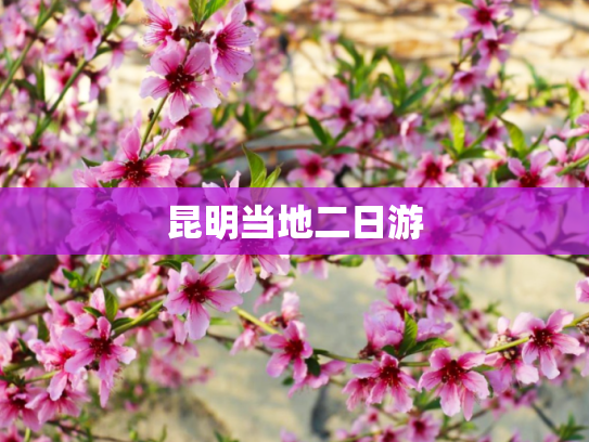 昆明当地二日游