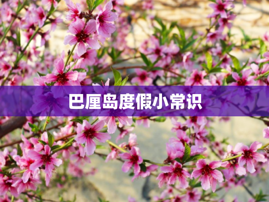 巴厘岛度假小常识