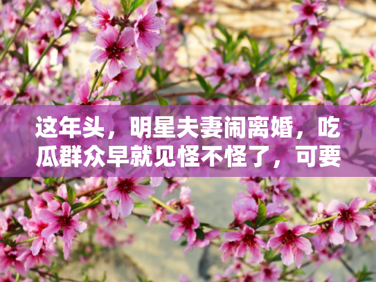 这年头，明星夫妻闹离婚，吃瓜群众早就见怪不怪了，可要说这瓜田里最让人放不下的