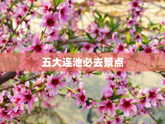 五大连池必去景点