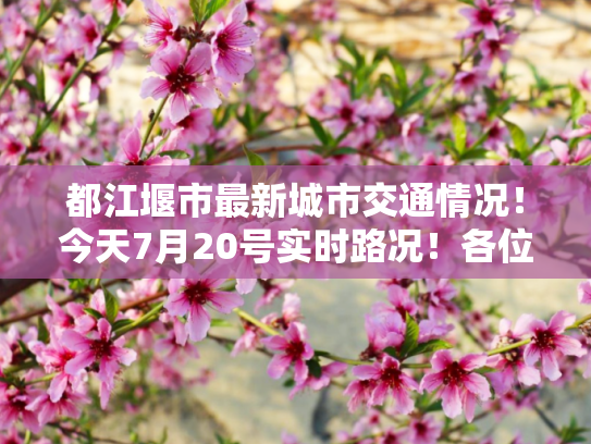 都江堰市最新城市交通情况！今天7月20号实时路况！各位司机做好准备！