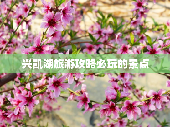 兴凯湖旅游攻略必玩的景点