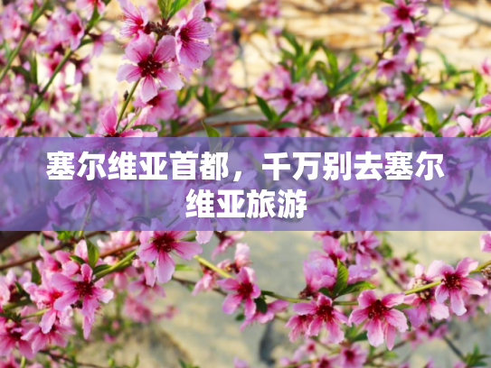 塞尔维亚首都，千万别去塞尔维亚旅游