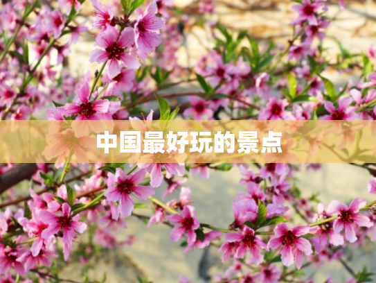 中国最好玩的景点