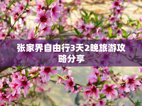 张家界自由行3天2晚旅游攻略分享