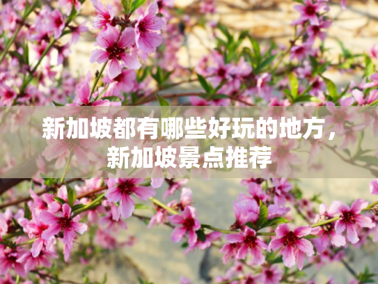 新加坡都有哪些好玩的地方，新加坡景点推荐