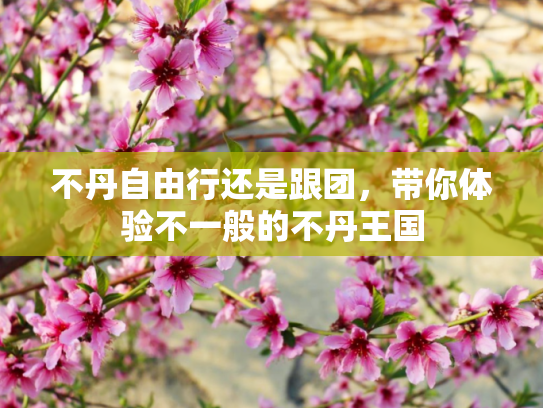 不丹自由行还是跟团，带你体验不一般的不丹王国