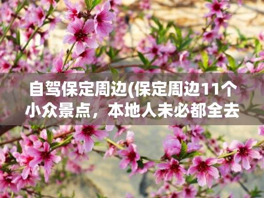 自驾保定周边(保定周边11个小众景点，本地人未必都全去过，一定会惊艳到你！)